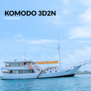 Komodo Tour