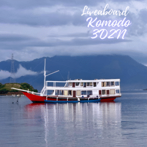 Komodo Tour