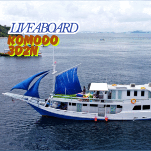 Komodo tour