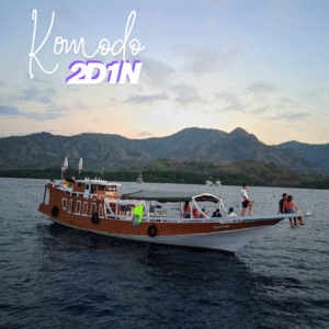 Komodo 2D1N Stay Rinca